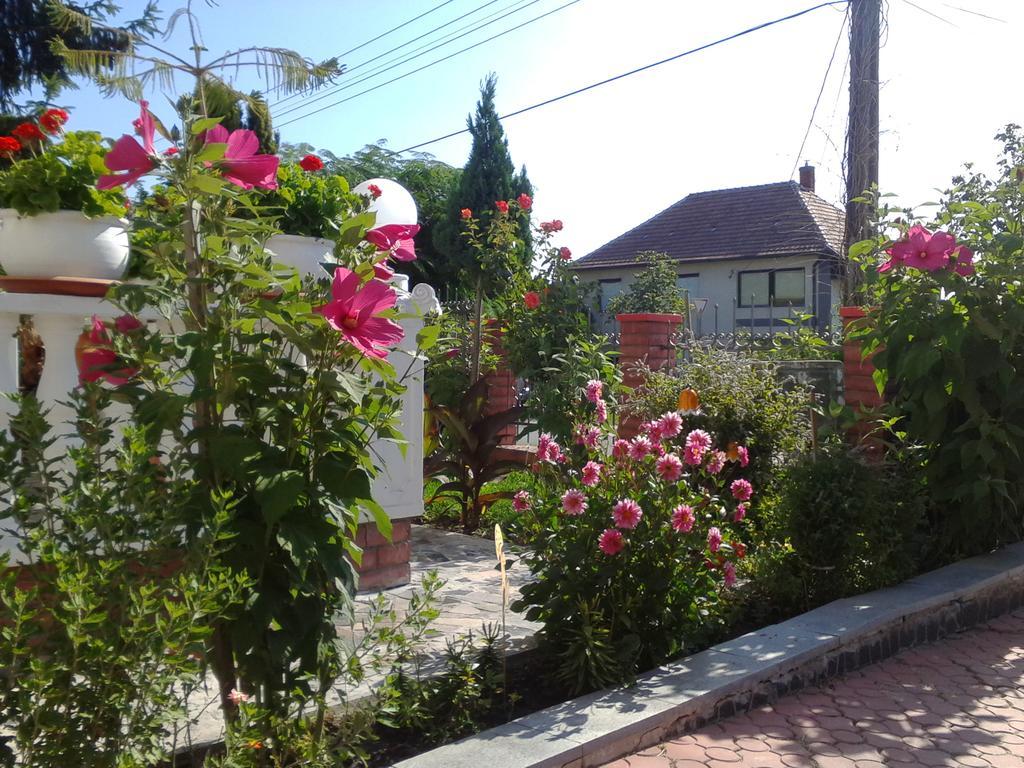 Kristaly Apartman Heviz Ngoại thất bức ảnh